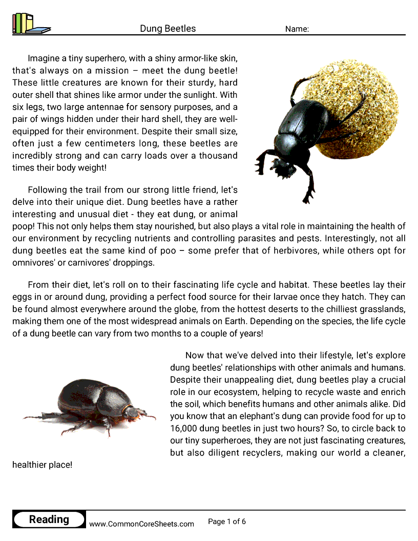 Reading Comprehension Insects Worksheets - dung-beetles worksheet