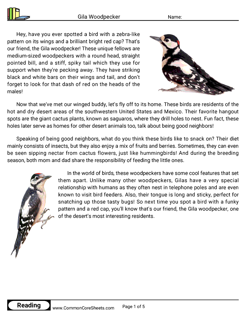 Reading Comprehension Birds Worksheets - gila-woodpecker worksheet