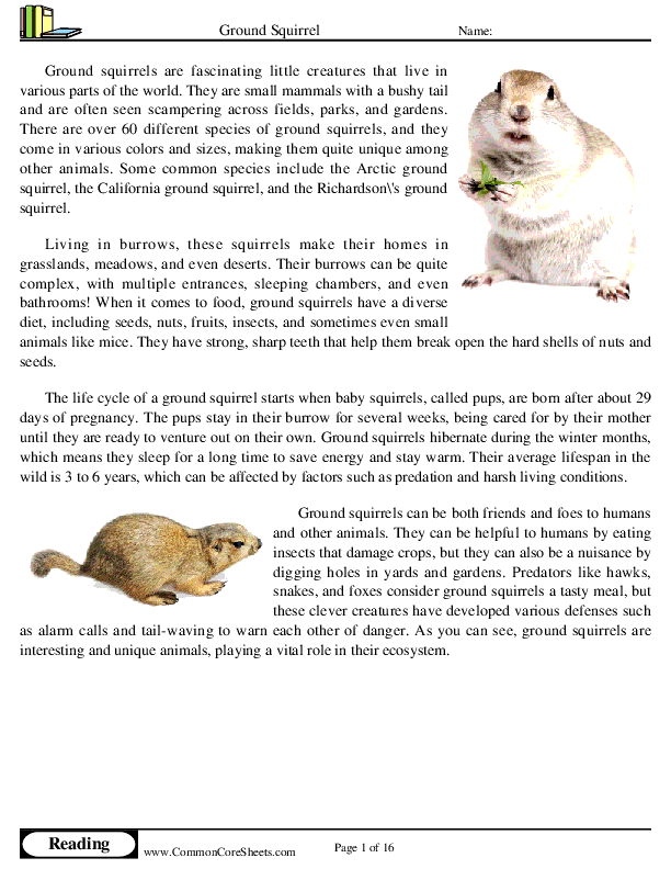  - ground-squirrel worksheet