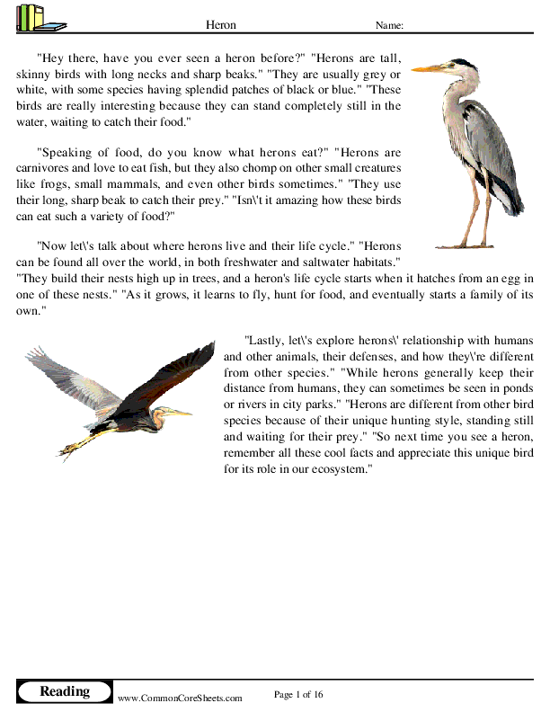  - heron worksheet