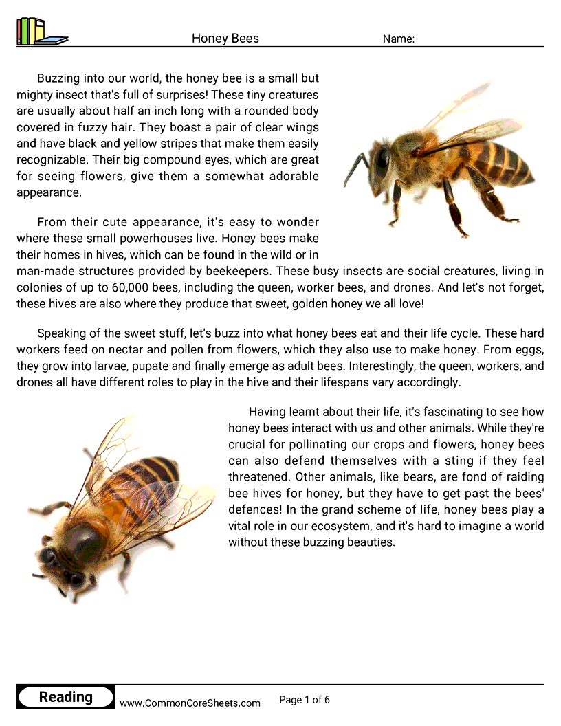 Reading Comprehension Insects Worksheets - honey-bees worksheet