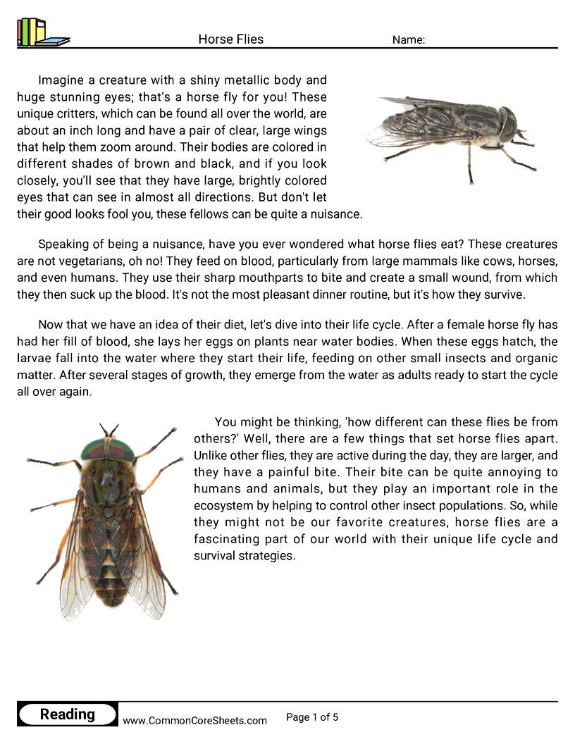 Reading Comprehension Insects Worksheets - horse-flies worksheet