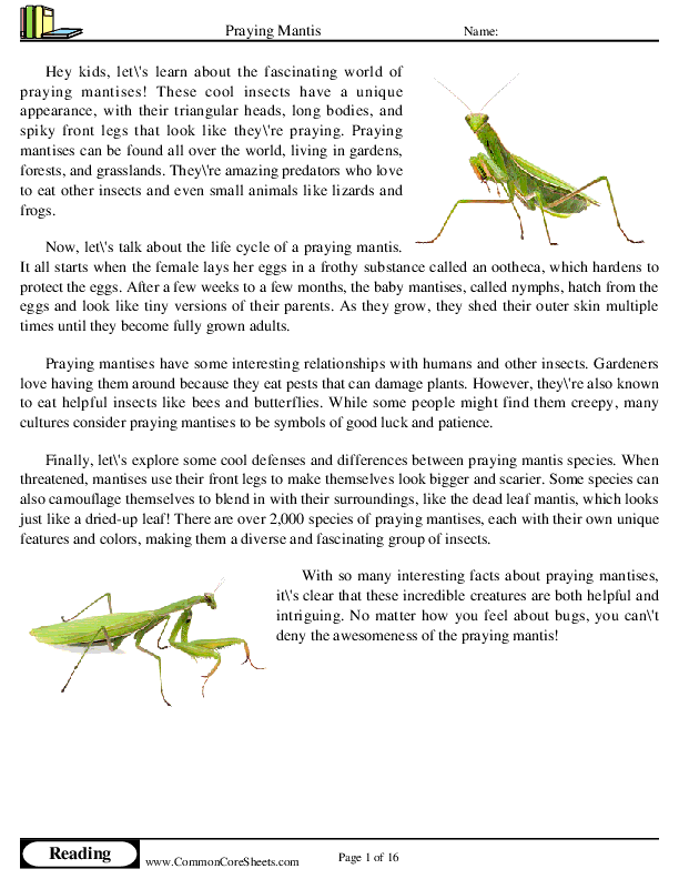  - praying-mantis worksheet