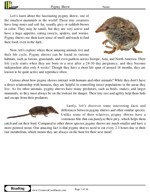  - pygmy-shrew worksheet