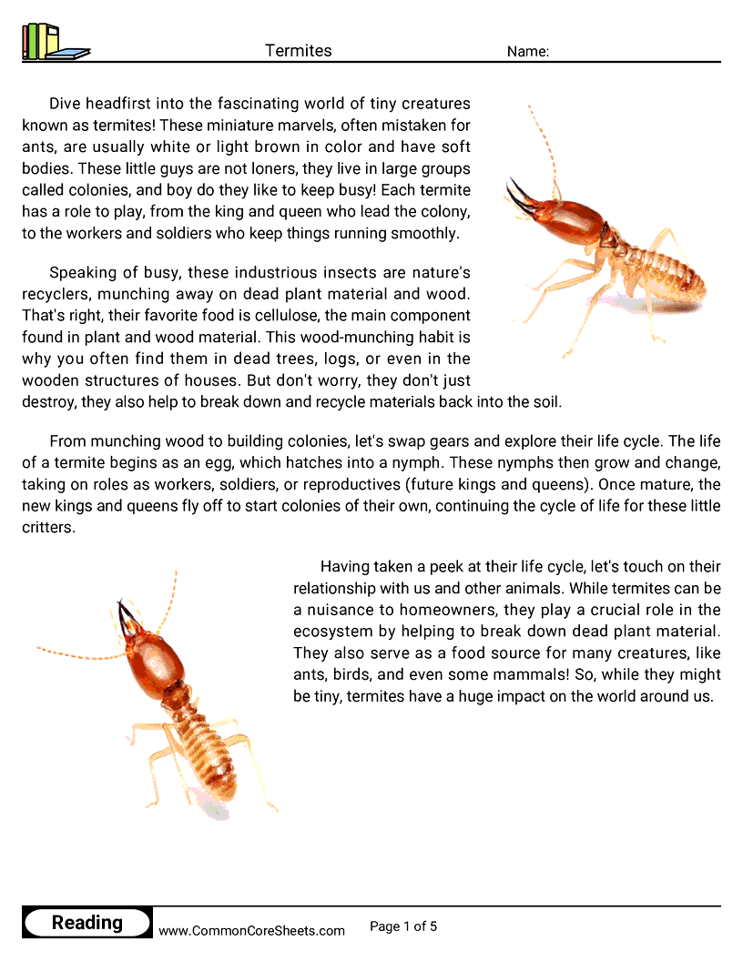 Reading Comprehension Insects Worksheets - termites worksheet