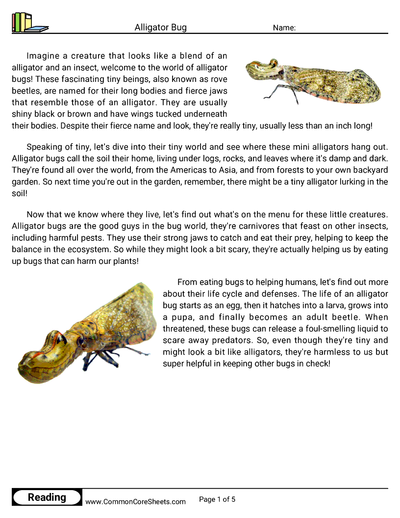 Reading Comprehension Insects Worksheets - alligator-bug worksheet