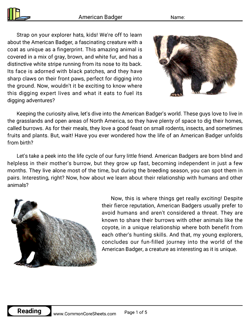 Reading Comprehension Mammals - american-badger worksheet