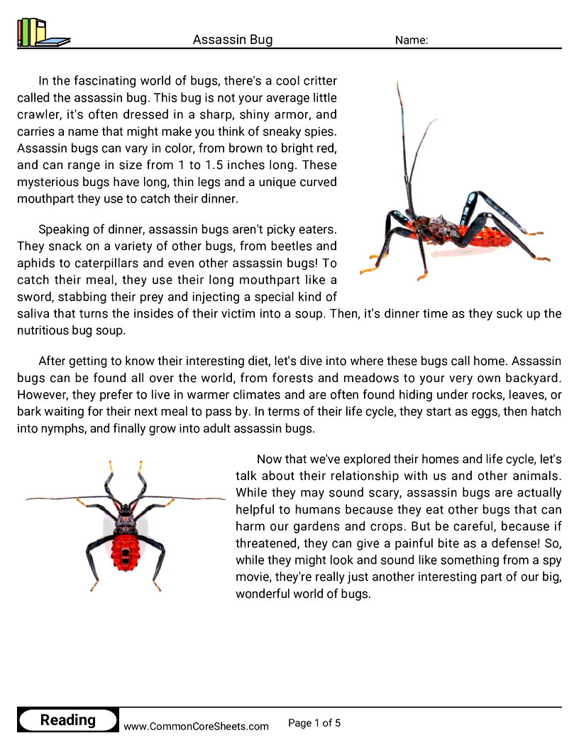 Reading Comprehension Insects Worksheets - assassin-bug worksheet