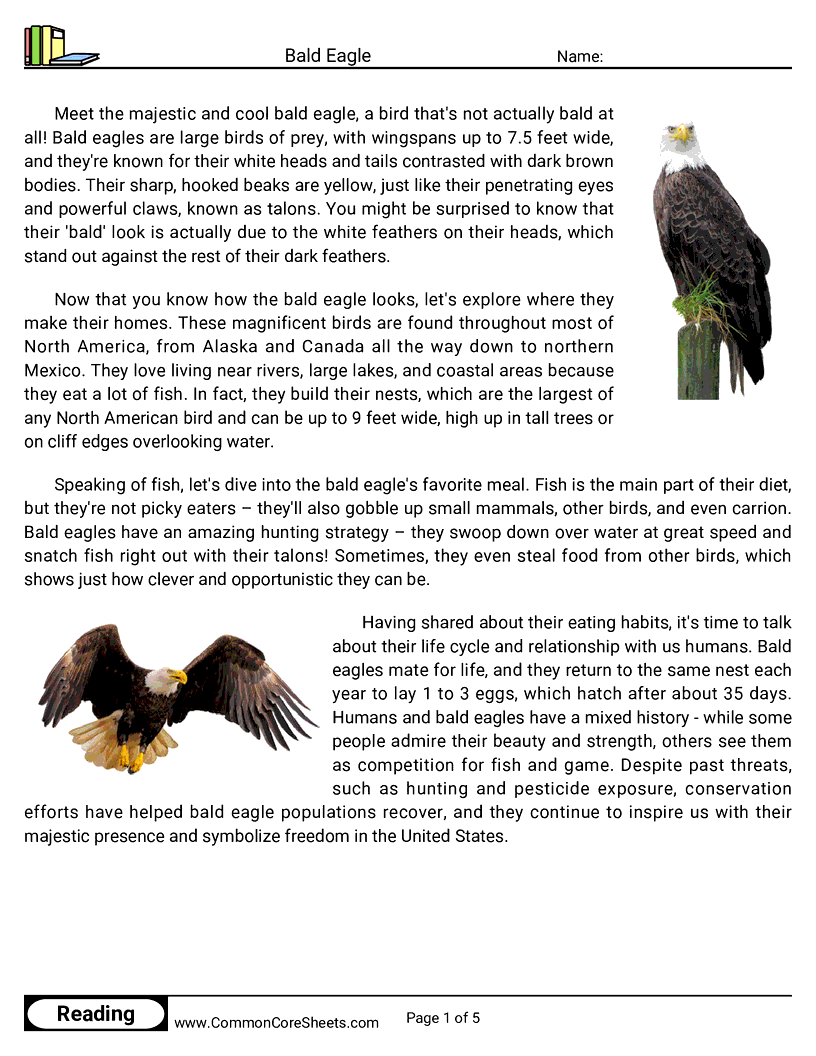 Reading Comprehension Birds Worksheets - bald-eagle worksheet