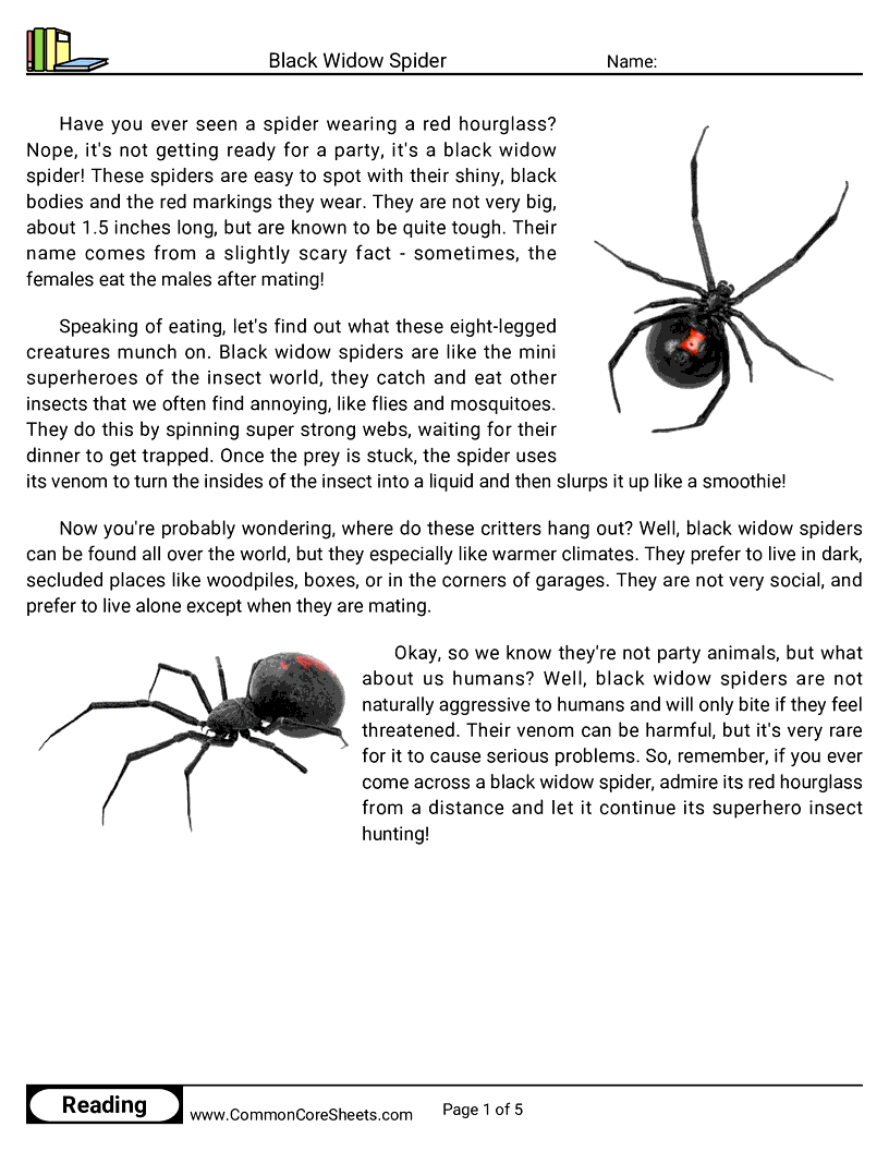 Reading Comprehension Spiders Worksheets - black-widow-spider worksheet