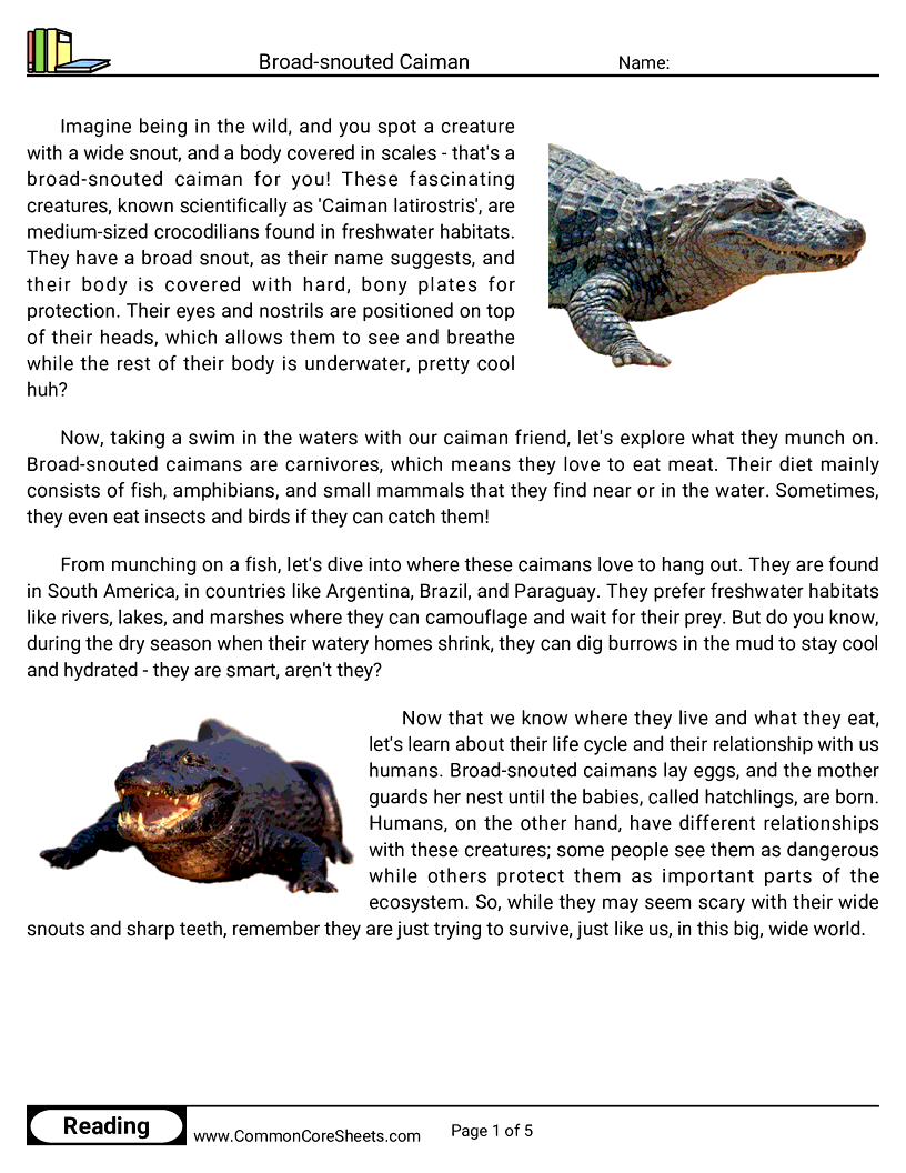 Reading Comprehension Reptiles - broad-snouted-caiman worksheet