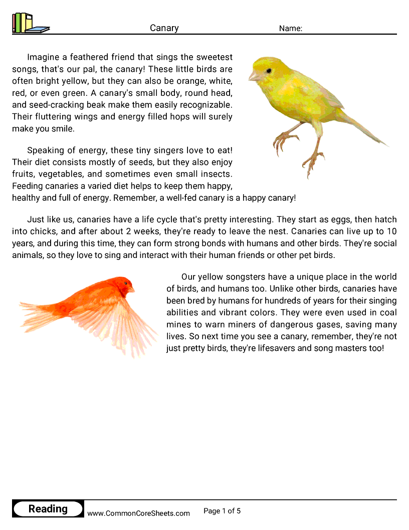 Reading Comprehension Birds Worksheets - canary worksheet
