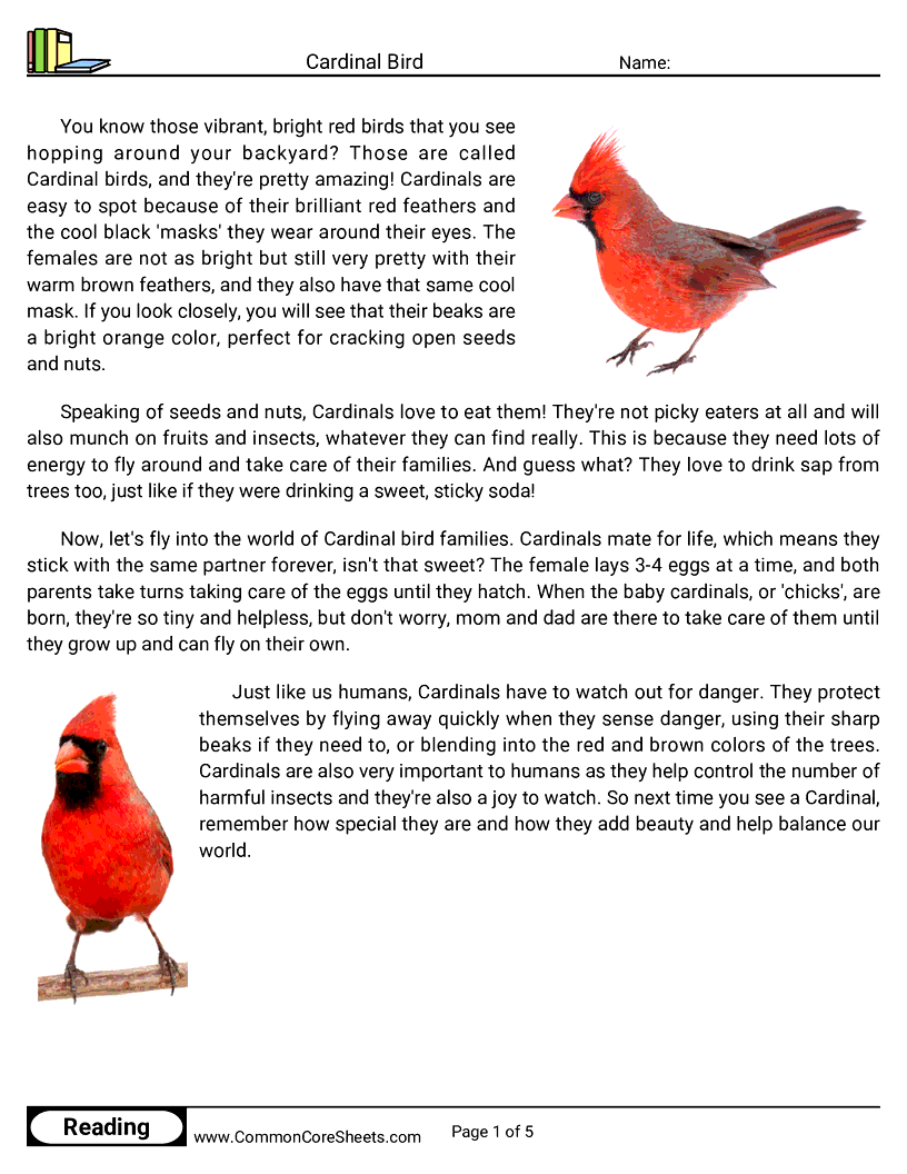 Reading Comprehension Birds Worksheets - cardinal-bird worksheet