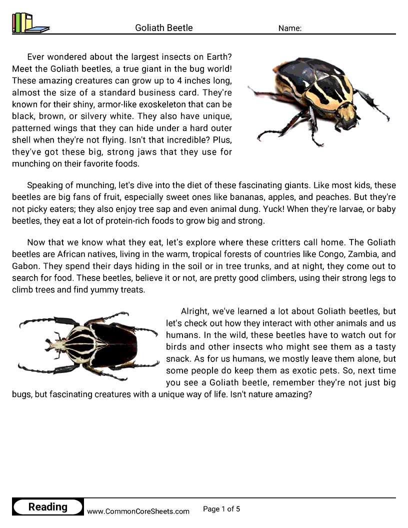 Reading Comprehension Insects Worksheets - goliath-beetle worksheet
