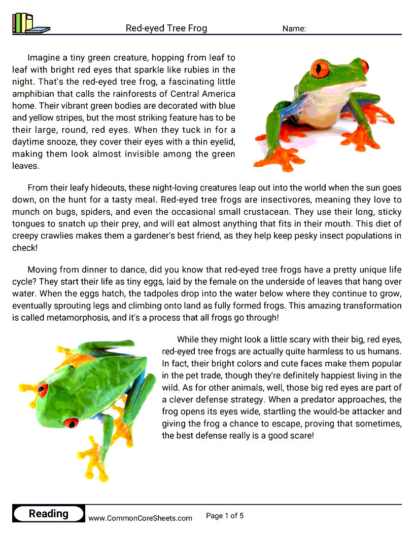 Reading Comprehension Reptiles - red-eyed-tree-frog worksheet